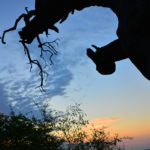 Crepuscule-Namibie-2013