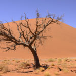 Sossusvlei-Namibie-2013