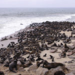 Walvis Bay-Namibie-2013